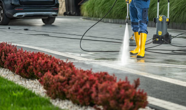 Animal Enclosure Cleaning in Valparaiso, IN